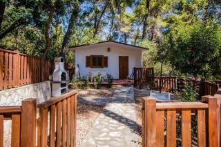 Camping Village Internazionale